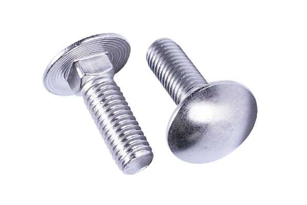 Two stainless steel cup head square neck bolts