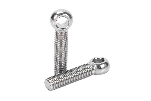 Two stainless steel eye bolts