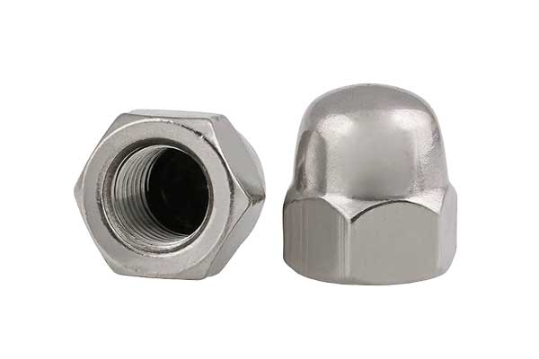 Two stainless steel domed cap nuts