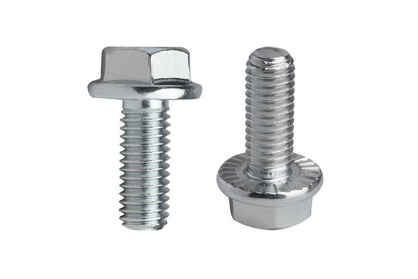 Two hex flange bolts made of stainless steel